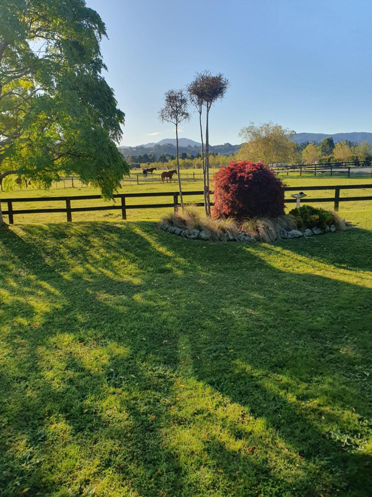 Mangaroa, Farmstay アッパー・ハット エクステリア 写真