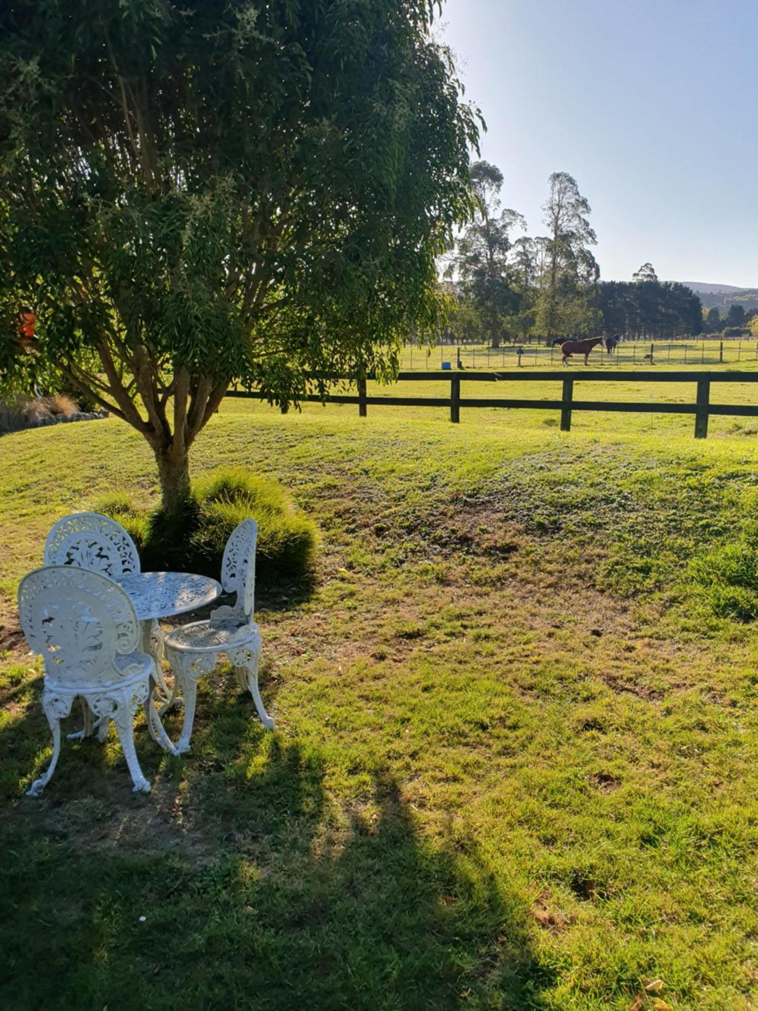 Mangaroa, Farmstay アッパー・ハット エクステリア 写真